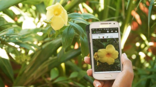 alojamiento Mula radio 3 aplicaciones para identificar plantas desde el móvil | Natura Herbolari