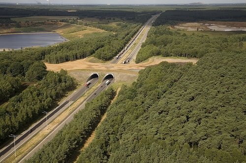 Ecoduct Kikbeek over de E314.