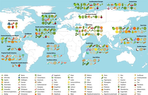 Mapa-alimentos