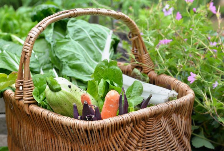 cesta alimentos