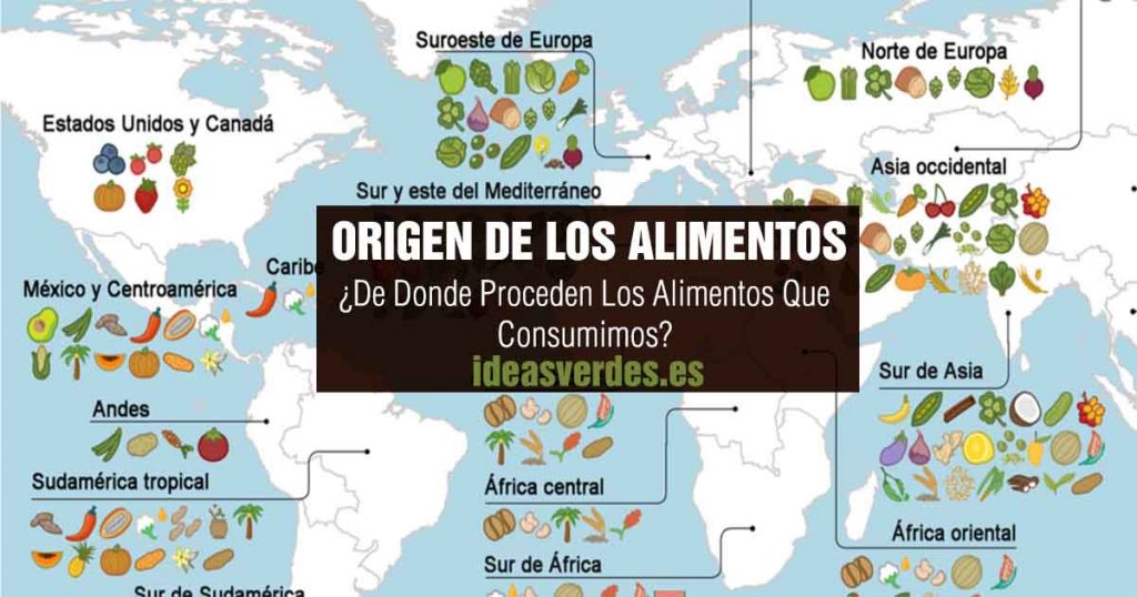 De Dónde Vienen Las Cosas Que Consumimos