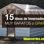 ideas de invernaderos