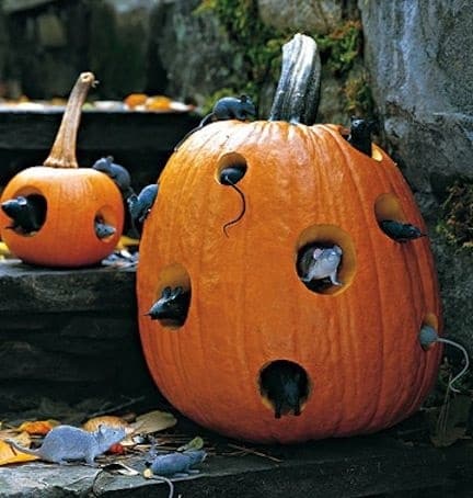 calabazas decoradas para halloween
