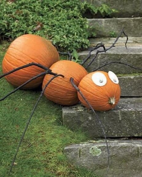 calabazas alargadas halloween