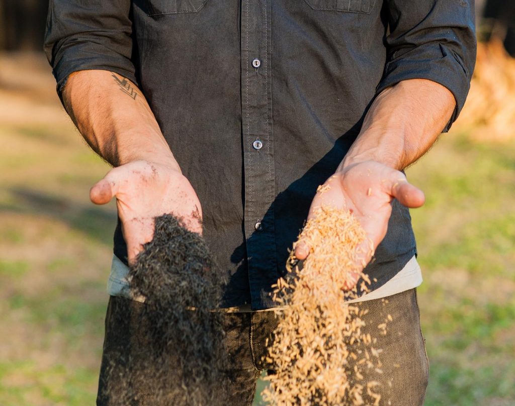 como hacer carbon ecologico con arroz