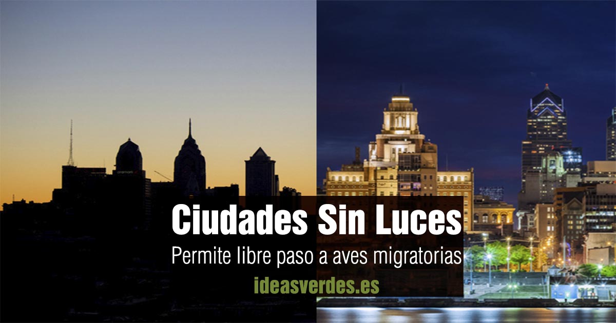 apagon luz aves migratorias