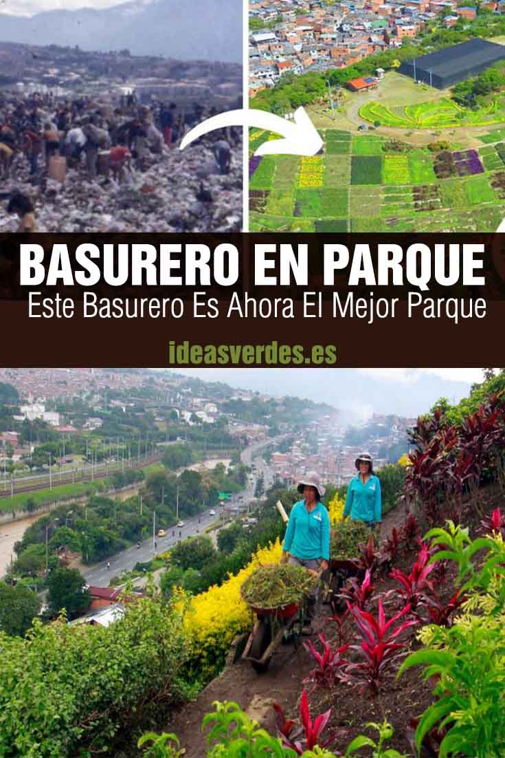 Basurero En Un Parque