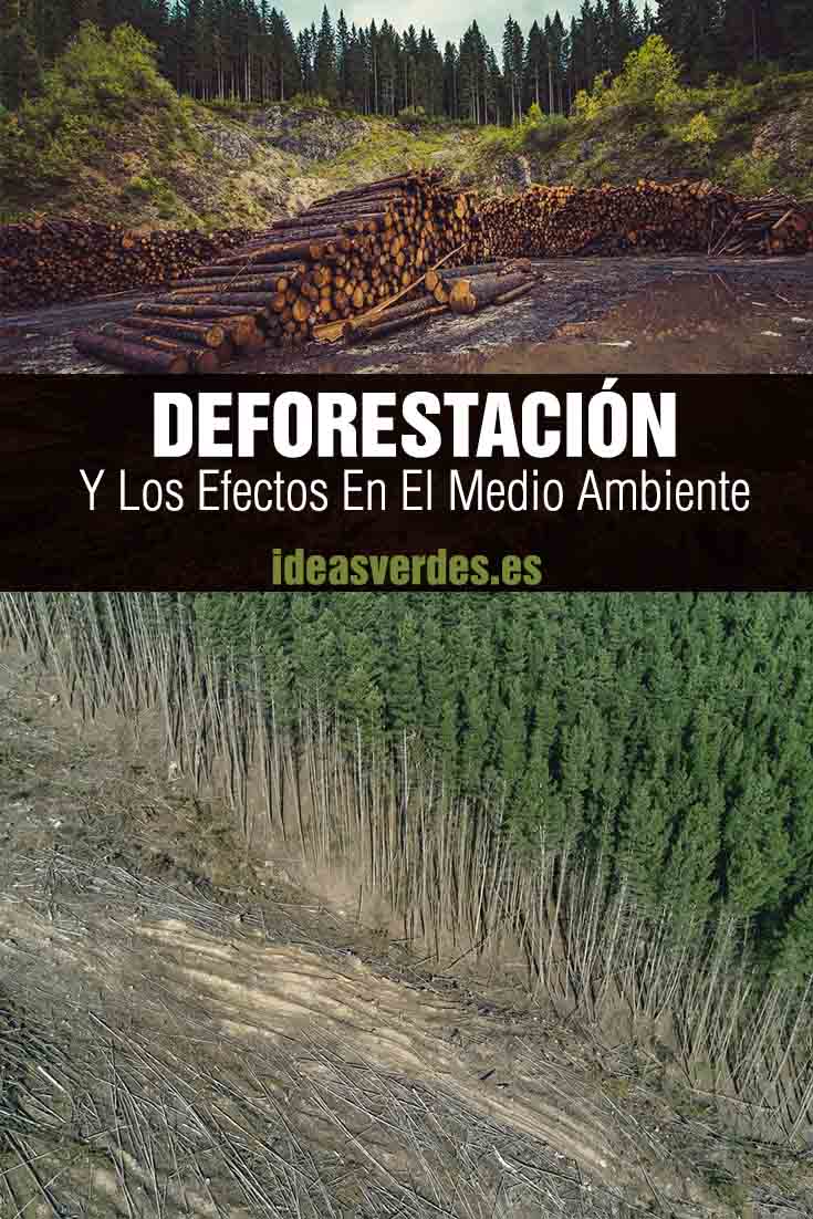 deforestacion y como afecta al medio ambiente