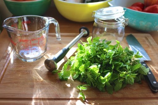 ingredientes aceite de oregano casero