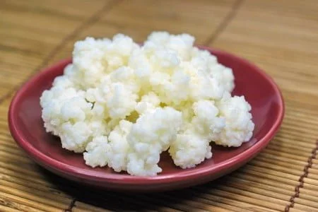 nodulos de kefir