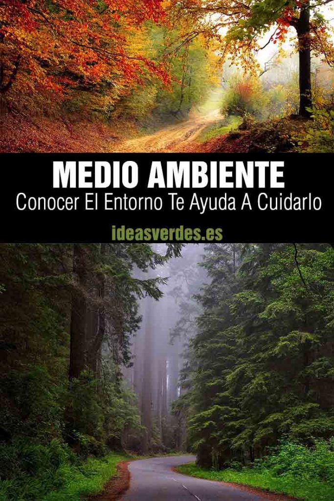 Conocer el medio ambiente te ayuda a cuidarlo