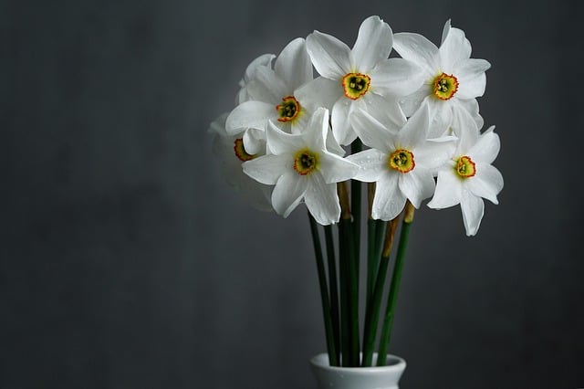 flores blancas decoración