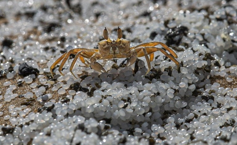 micro plasticos en el oceano lagrimas de sirena
