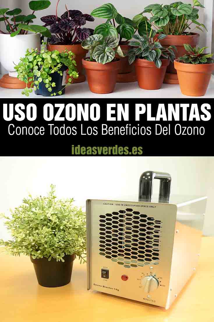 uso ozono en plantas