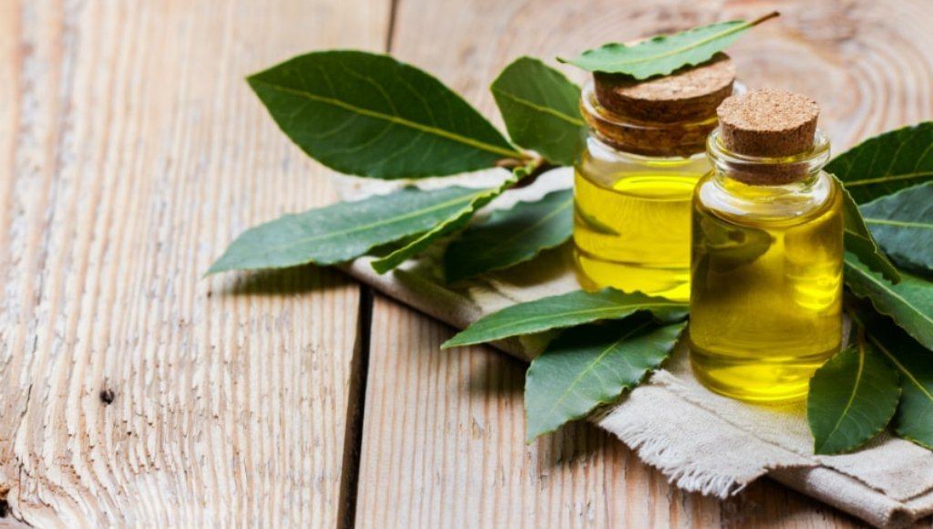 Aceite de laurel para relajarse