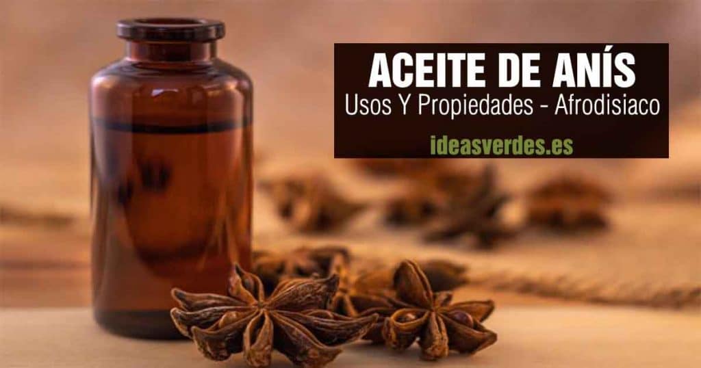 Aceite De Anis Para Que Sirve