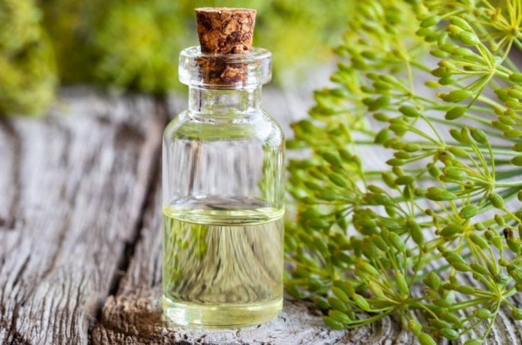 aceite de eneldo propiedades