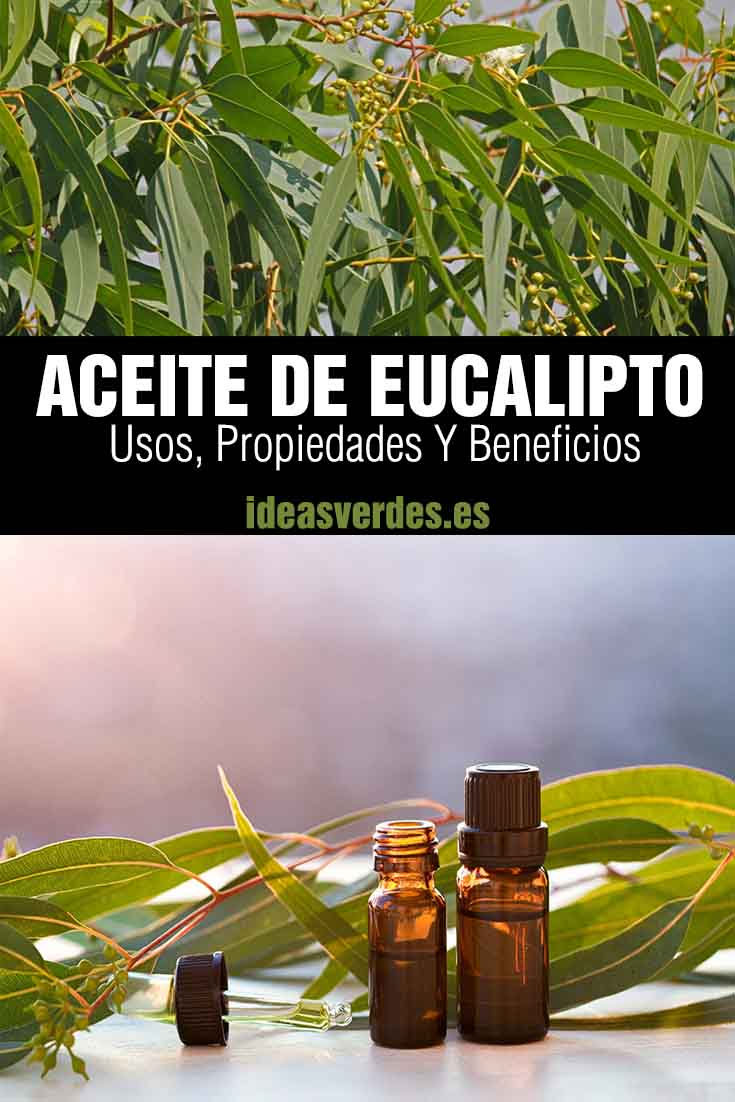aceite de eucalipto propiedades