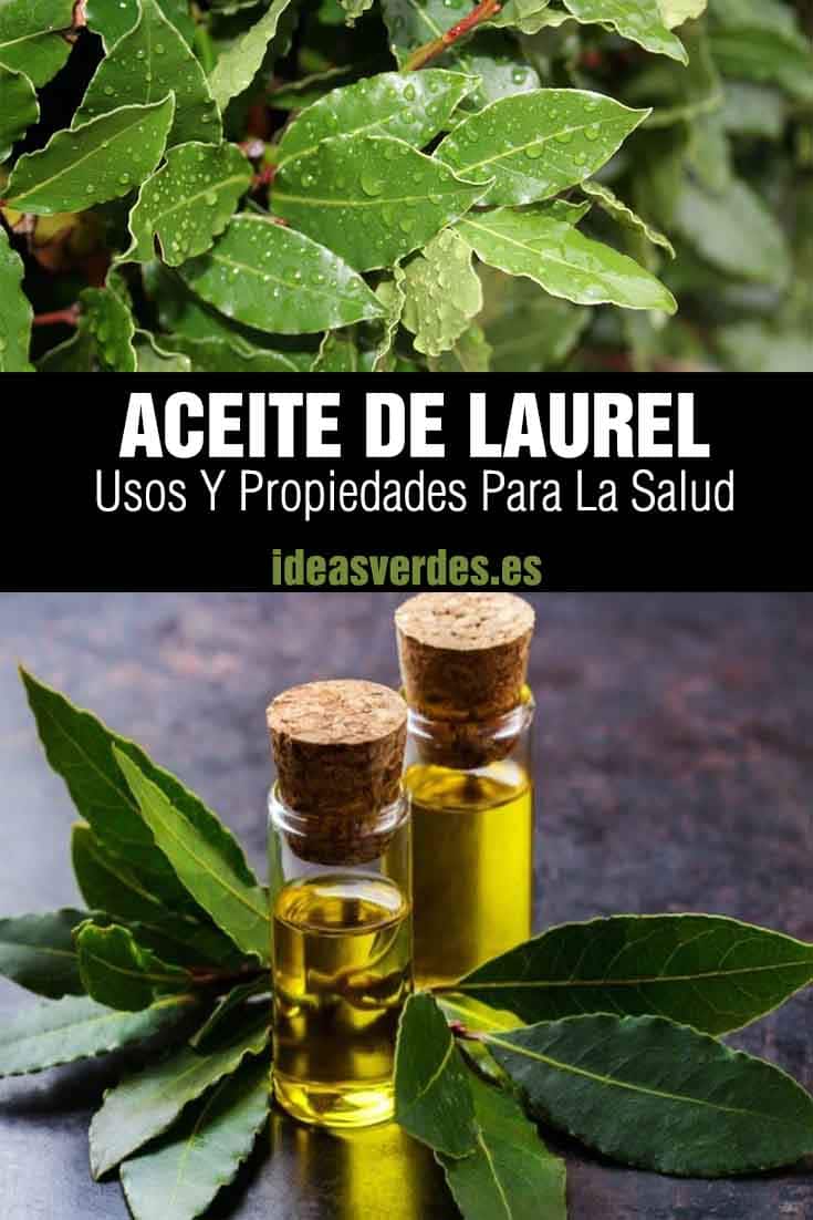 aceite de laurel propiedades