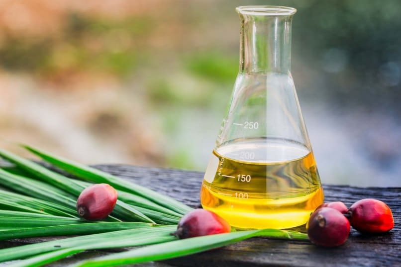 aceite de palma para la salud