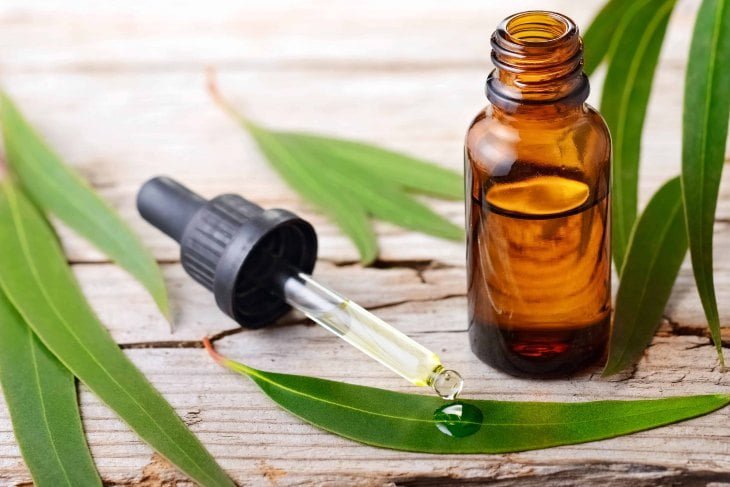 aceite esencial de eucalipto