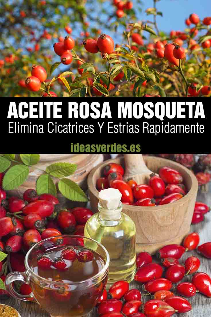 aceite rosa mosqueta propiedades