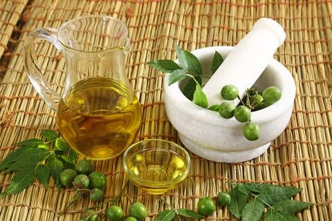 propiedades aceite de neem