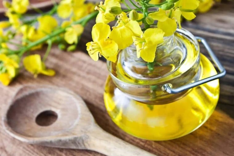 propiedades de aceite de colza