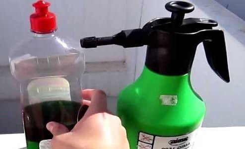 eliminar pulgon con fairy