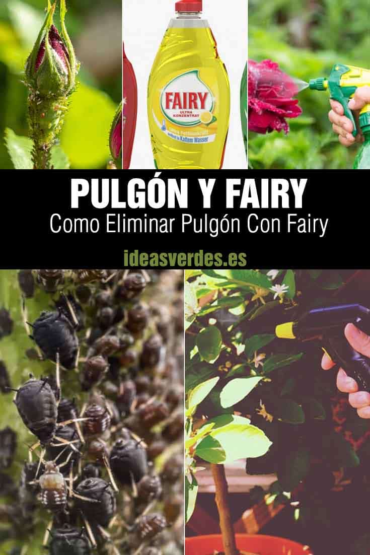 fairy para el pulgón