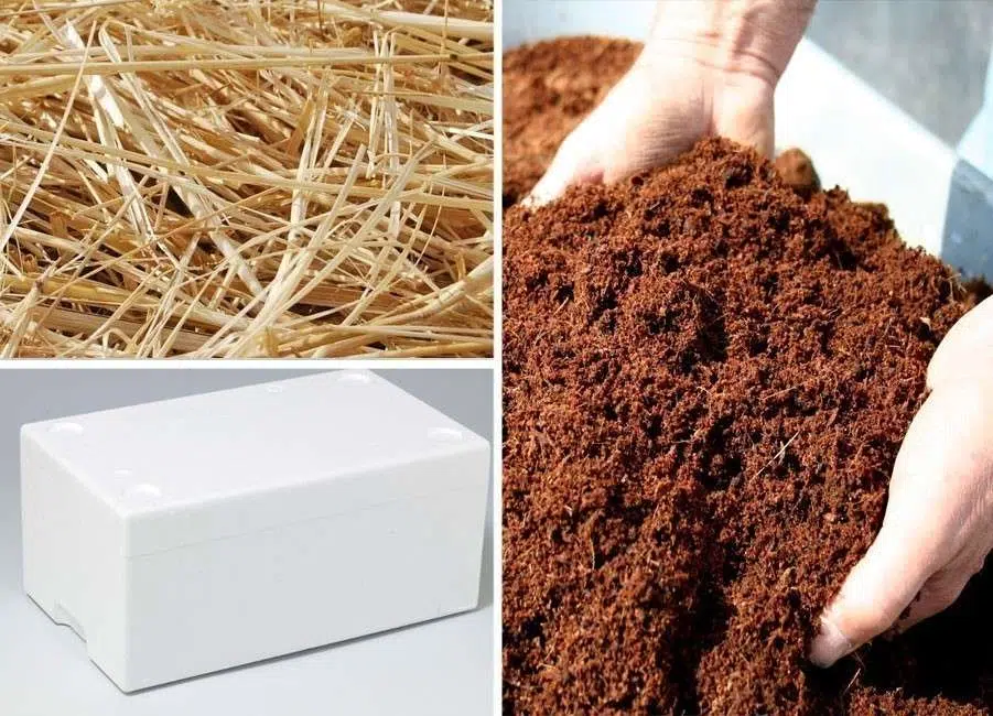 materiales para cultivar champiñón