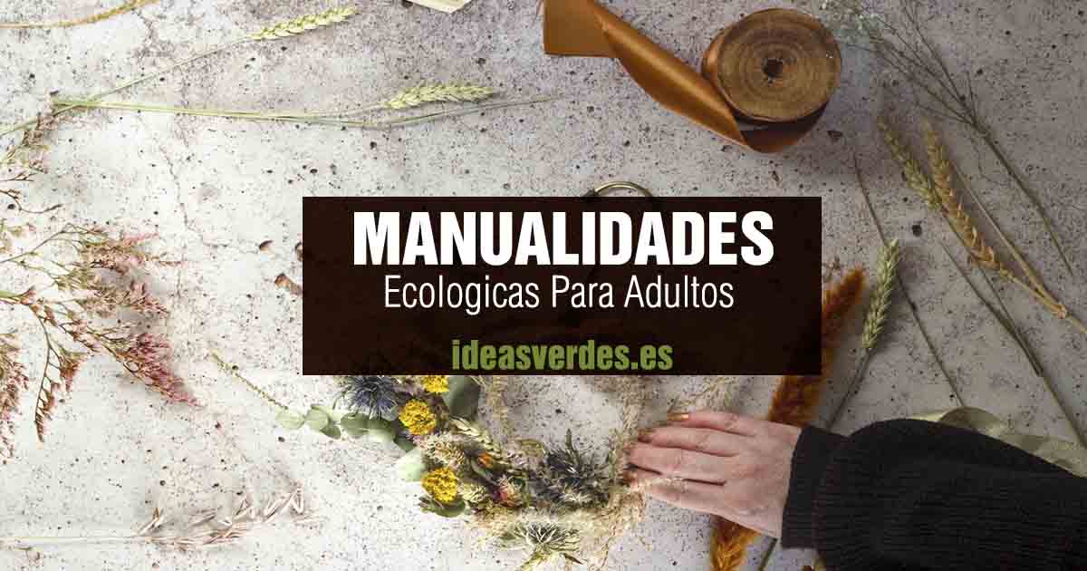 manualidades ecologicas para adultos