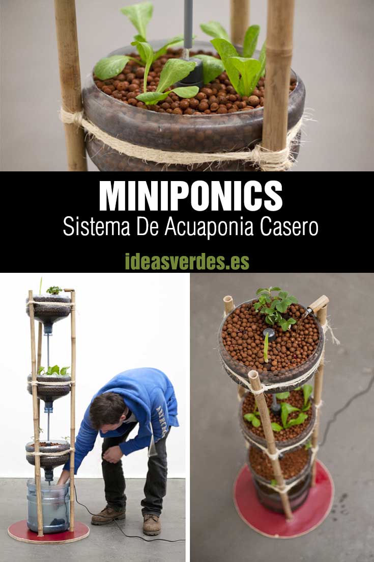 acuaponia en casa