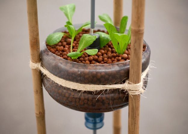 miniponics sistema de acuaponia casera