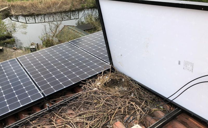 anidamiento en paneles solares
