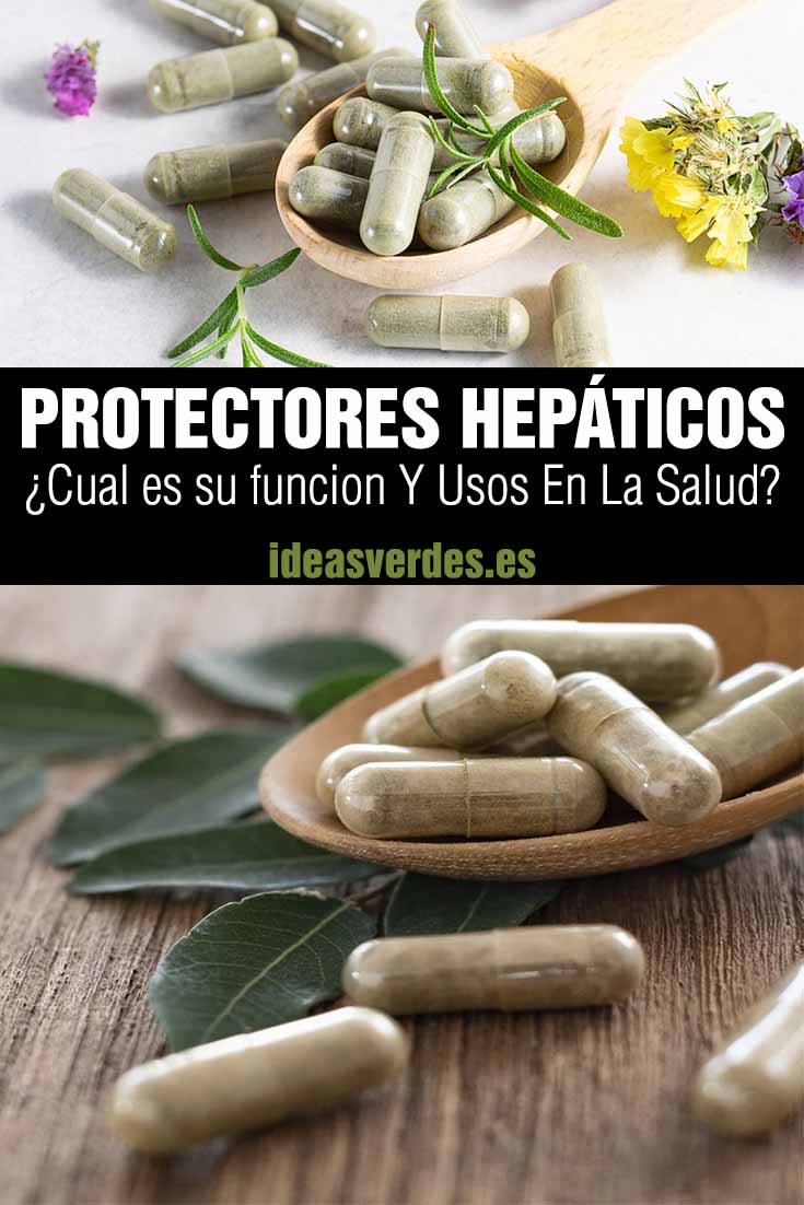 protectores hepaticos para el cuerpo y sus