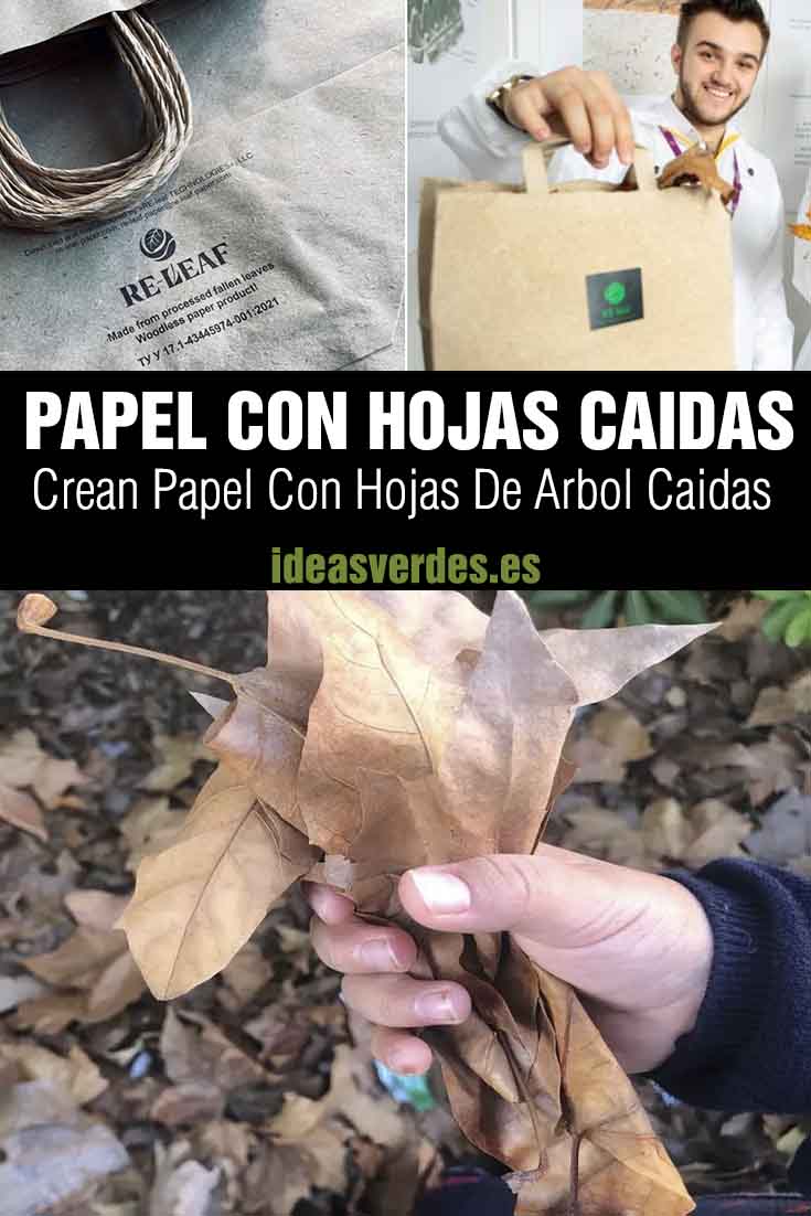 papel con hojas caídas de árbol