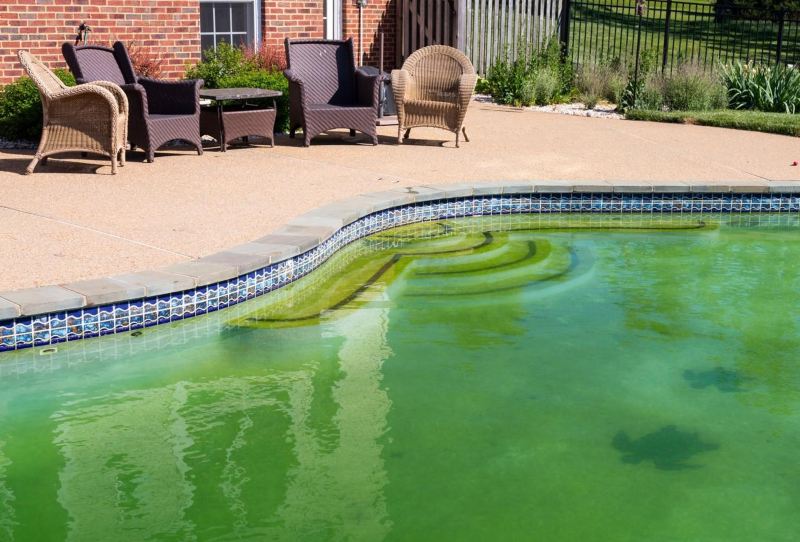 limpiar agua verde de la piscina