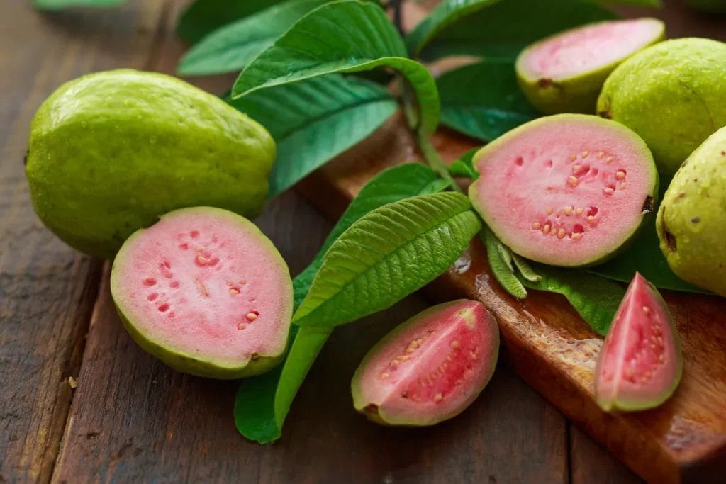 cosecha de guayaba