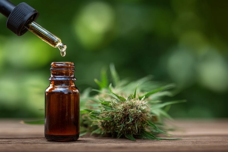 aceite de cbd