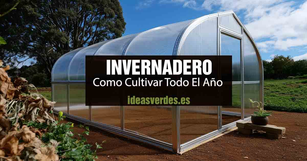 invernadero todo el año