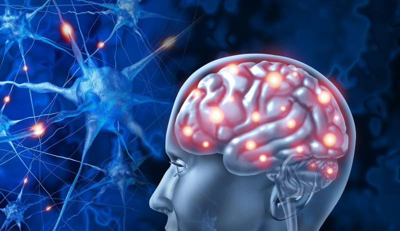 neuroplasticidad en el cerebro