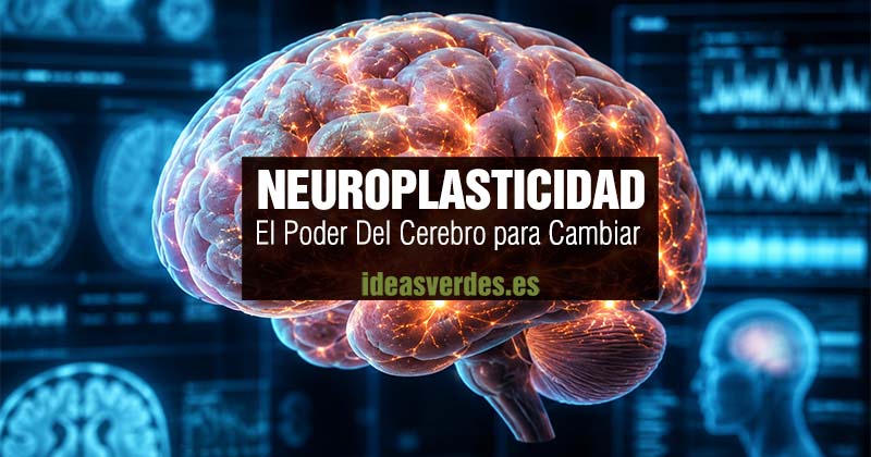poder del cerebro para cambiar neuroplasticidad