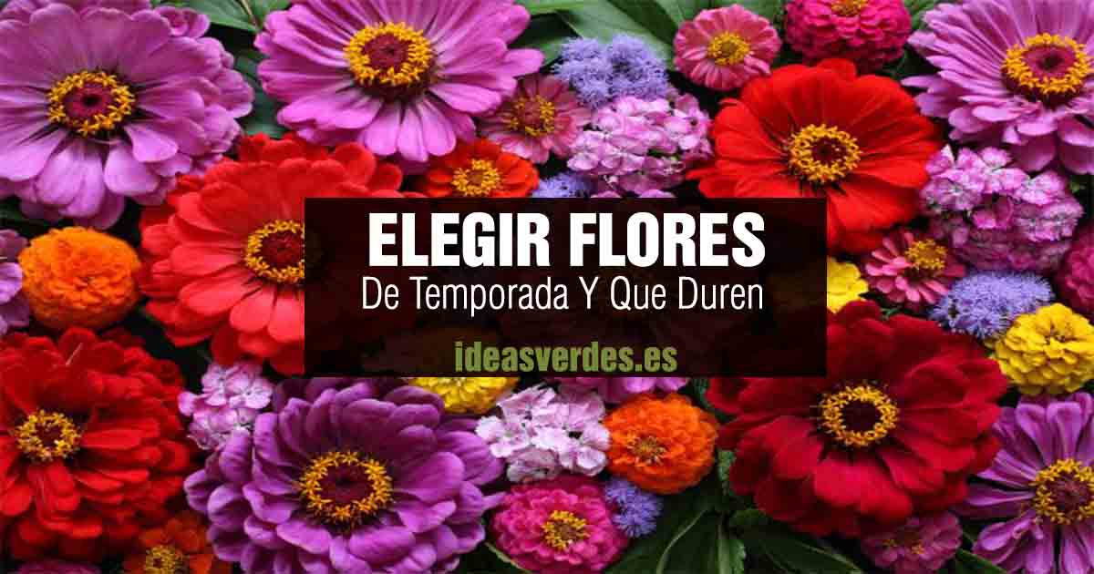 elegir flores de temporada
