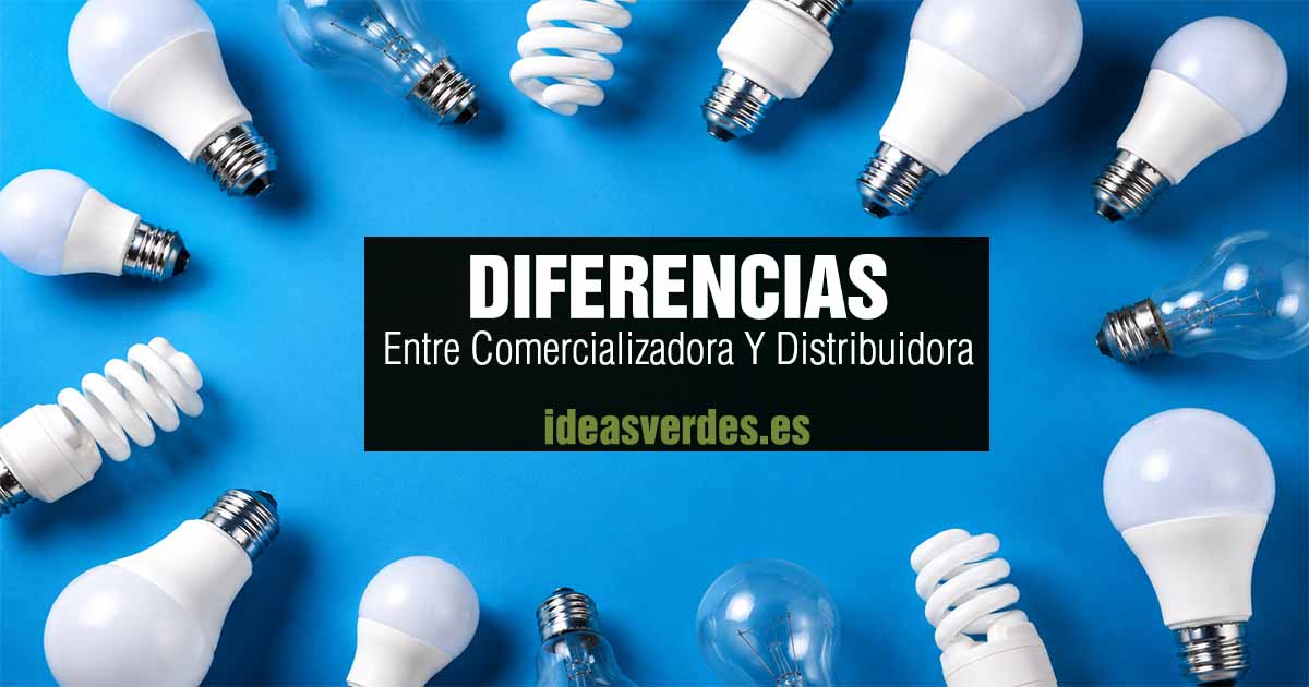 distribuidora